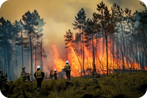 &nbsp;St. Michael’s hosts large-scale wildfire tabletop exercise to simulate health systems’ response to mental health needs during natural disasters&nbsp;